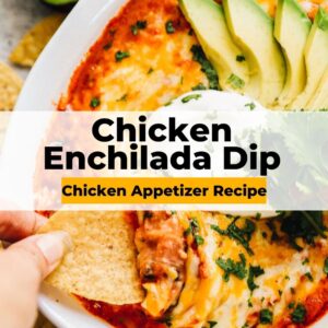 chicken enchilada dip pin