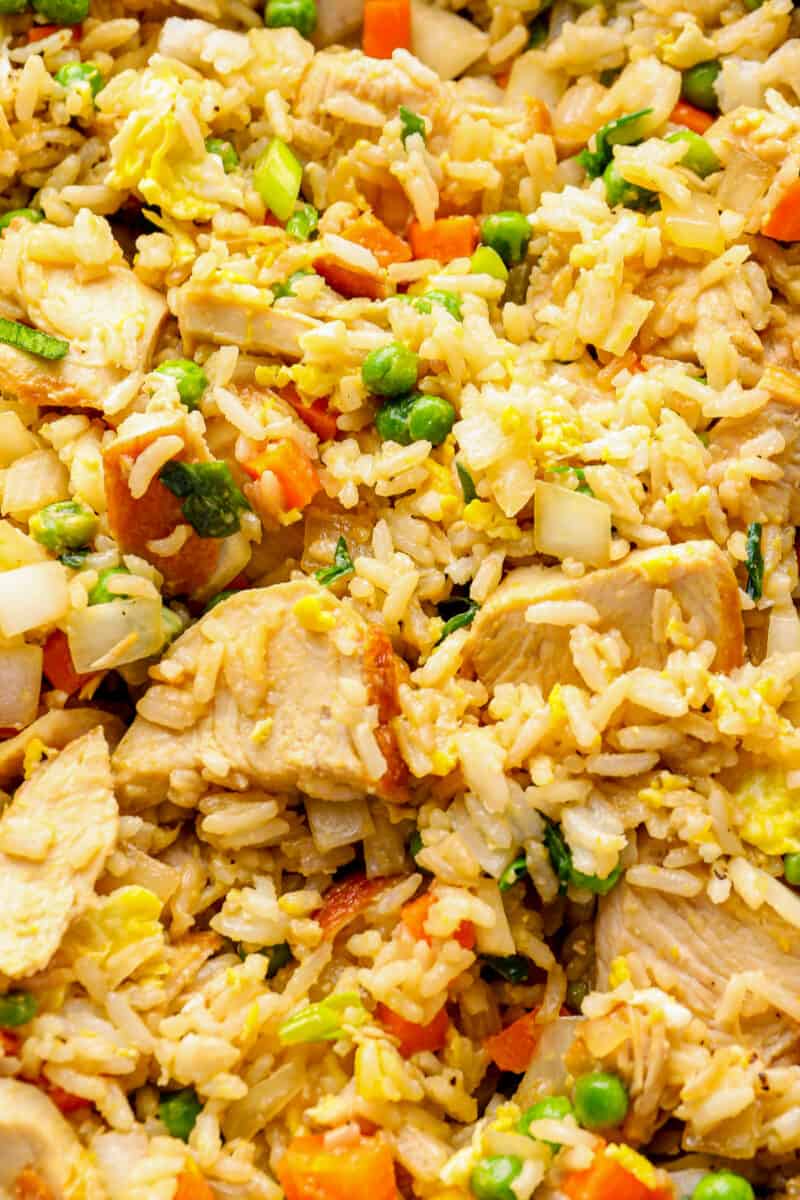 extreme close up on chicken fried rice