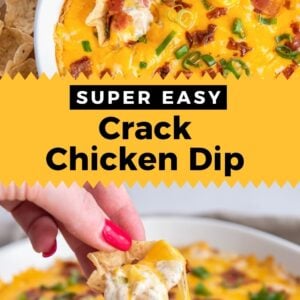super easy crack chicken dip