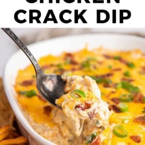 quick and easy chicken crack dip