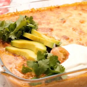 baked bubbly chicken enchilada dip topped with sour cream, tomatoes, avocado, and cilantro.