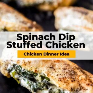 spinach dip stuffed chicken pin