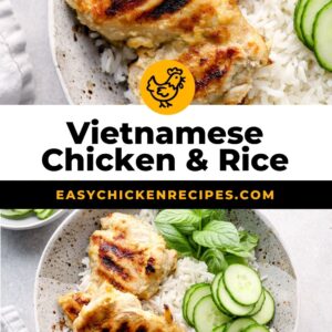 Vietnamese chicken and rice