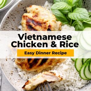Vietnamese chicken and rice pin