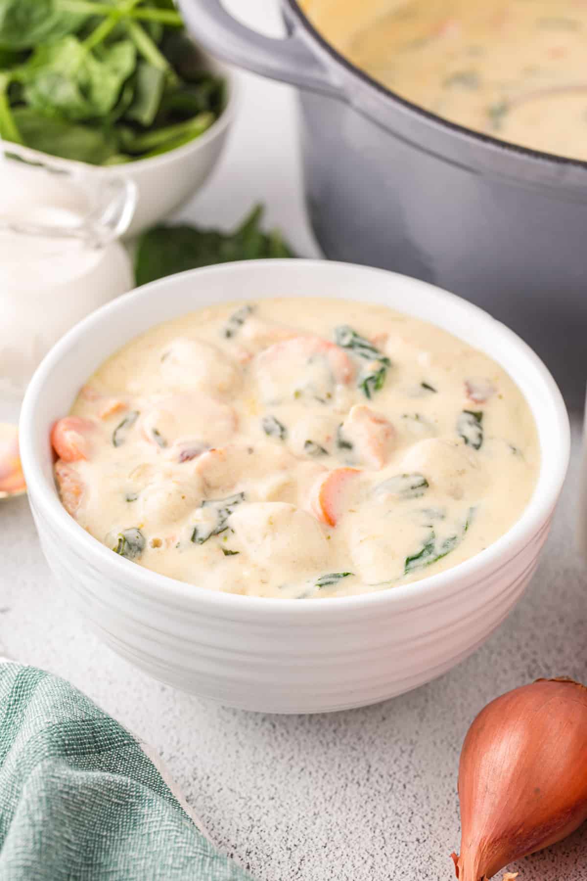 a bowl of chicken gnocchi soup