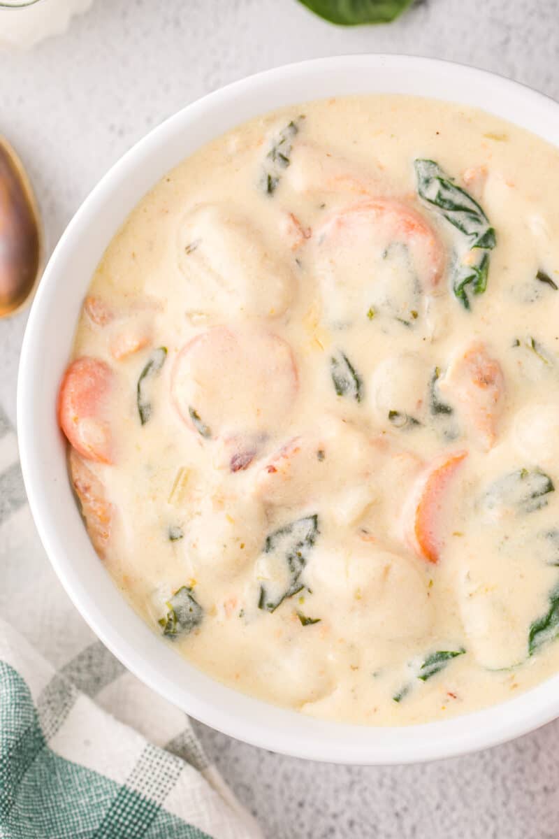 close up on a bowl of chicken gnocchi soup filled with carrots and spinach