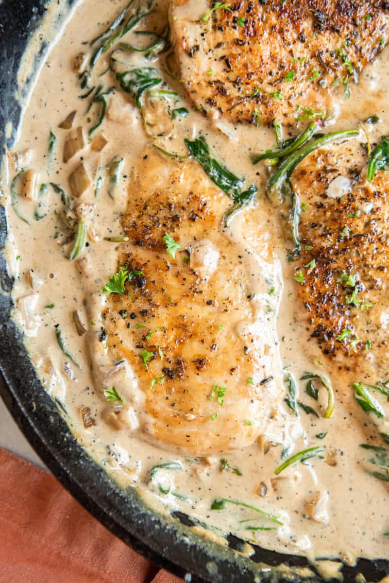 close up on chicken breast covered in a cream sauce
