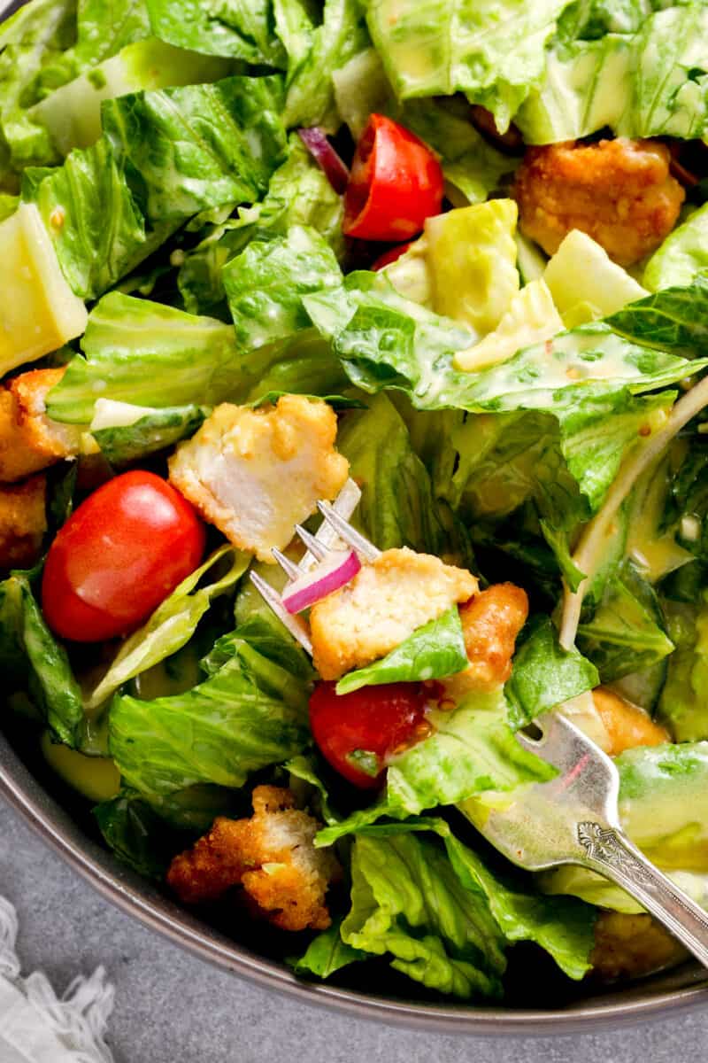 close up on a salad with chicken