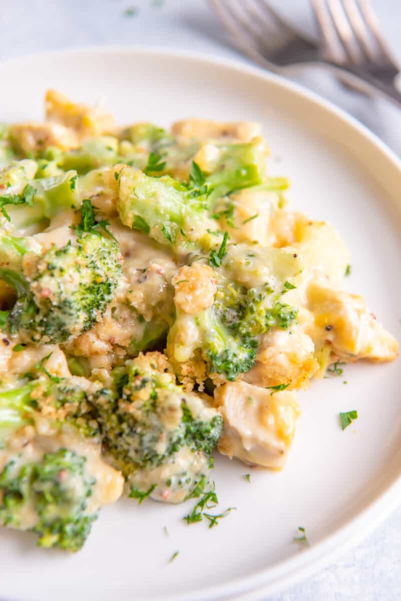 close up on a plate of chicken divan casserole with broccoli cubes of chicken