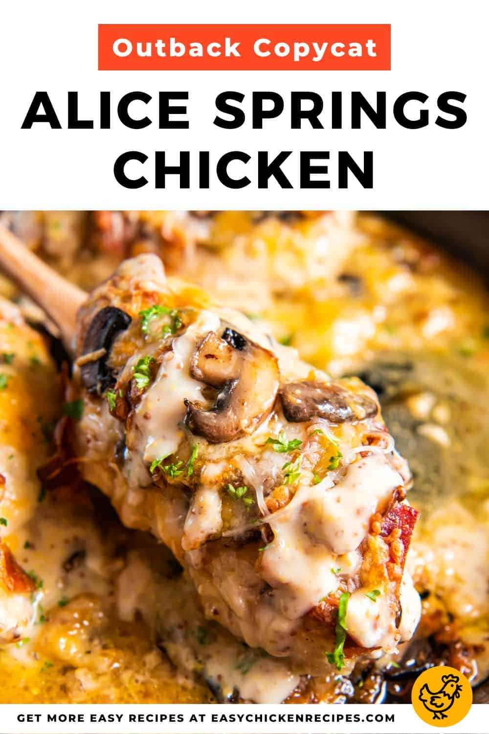 Easy Chicken Recipes Food Fusion