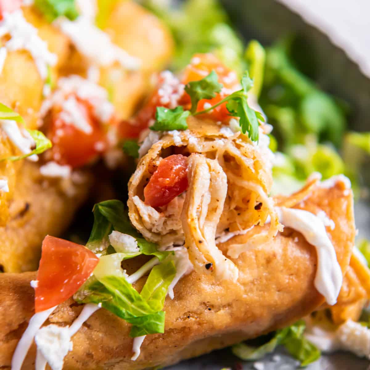 Shredded Chicken Taquitos Recipe - Easy Chicken Recipes