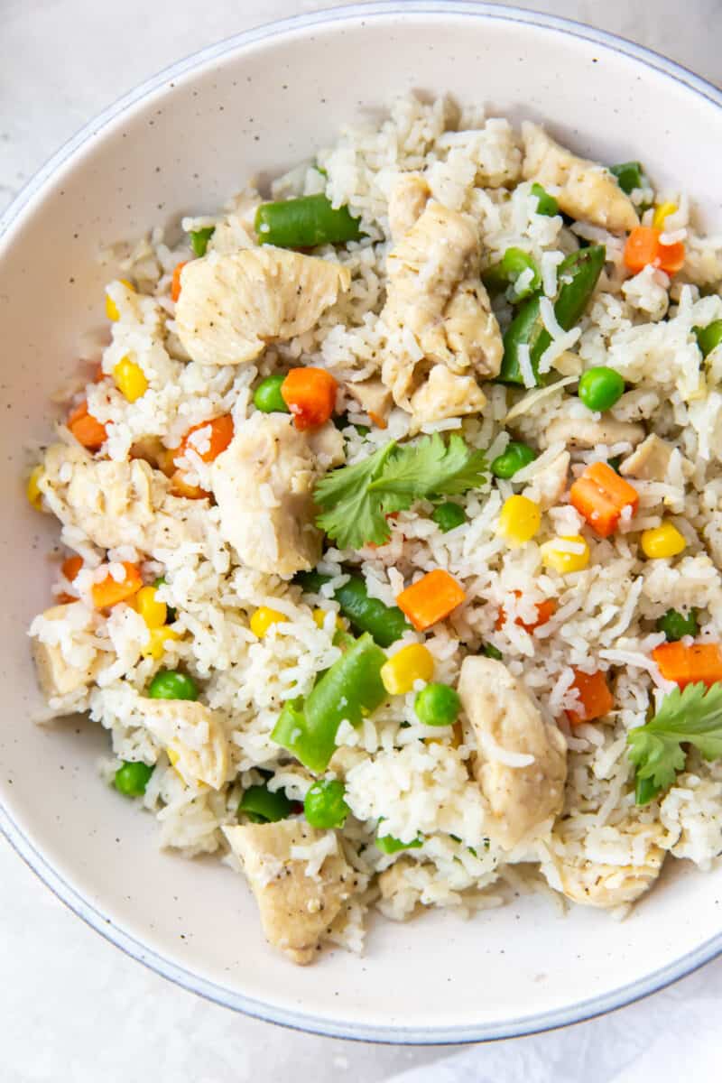 close up on a bowl of chicken, rice, and veggies
