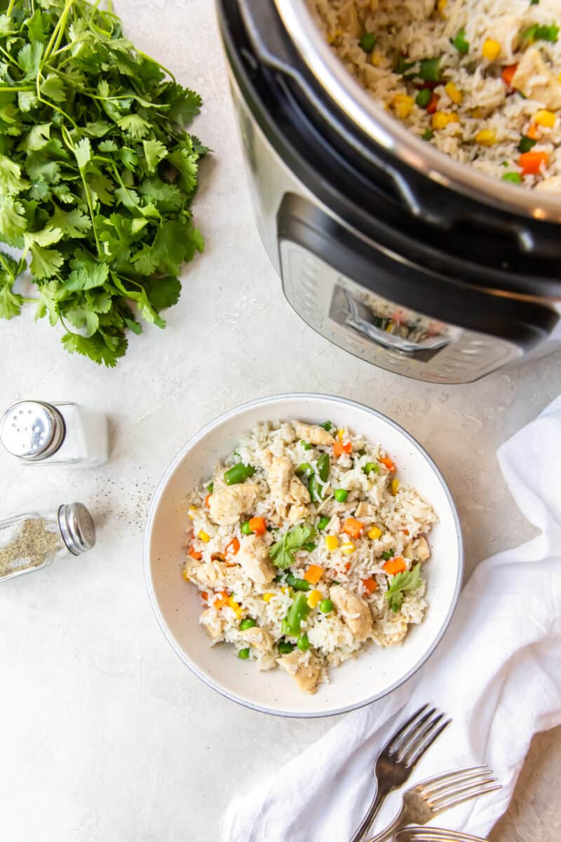 a bowl of chicken and rice next to an instant pot full of more