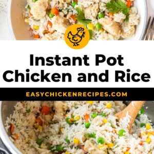 instant pot chicken and rice pinterest