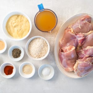 overhead view of ingredients for baked chicken and rice.