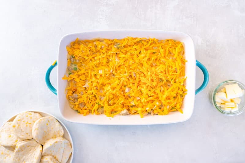 cheese on top of chicken and biscuits casserole filling in a casserole dish.