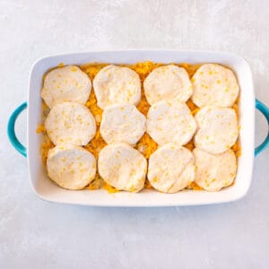 12 biscuit discs on top of chicken and biscuits casserole filling in a casserole dish.