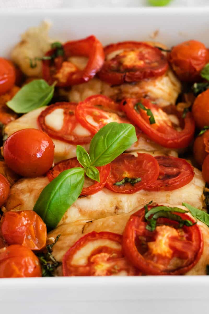 chicken breast with tomatoes, basil, and mozzarella 