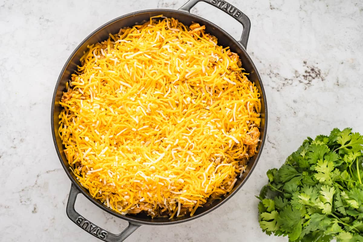 A layer of shredded chicken on top of chicken tamale pie.