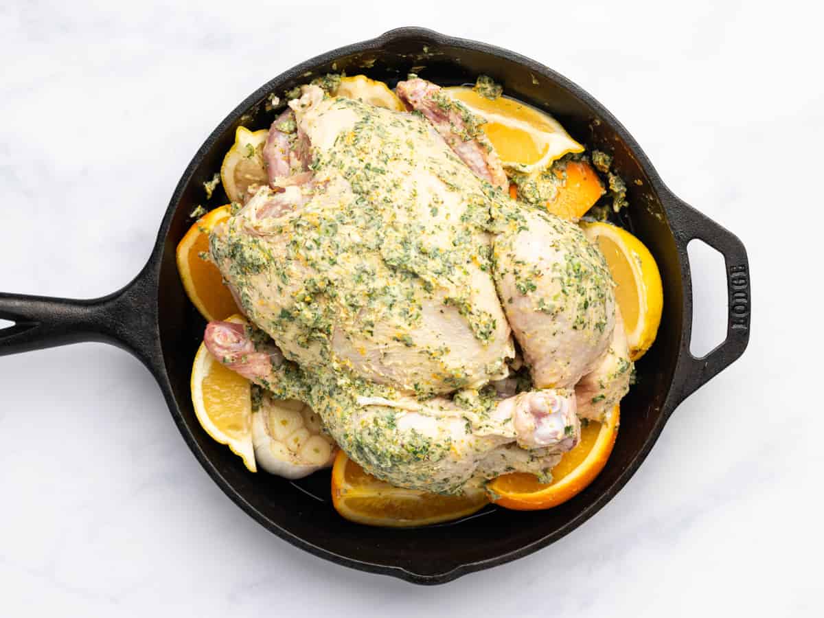 a whole raw chicken coated in herb butter on a bed of whole garlic and citrus pieces in a cast iron skillet.