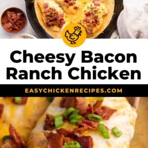 bacon ranch chicken pinterest
