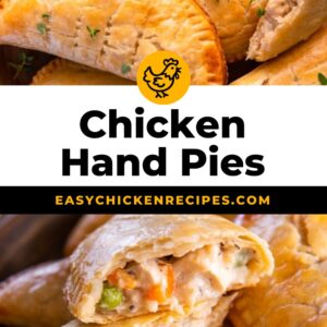chicken hand pies pinterest