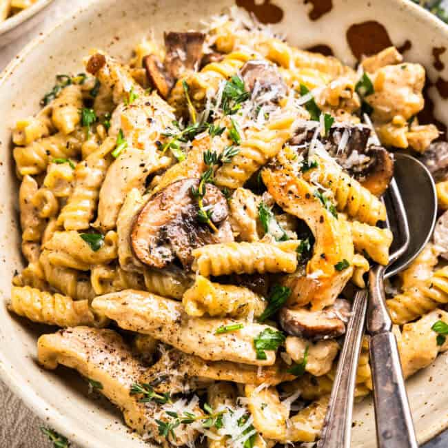 chicken mushroom pasta in a bowl with a fork and spoon.