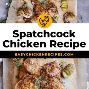 spatchcock chicken pinterest