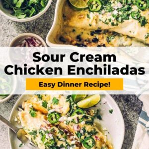 sour cream chicken enchiladas easy dinner recipe.