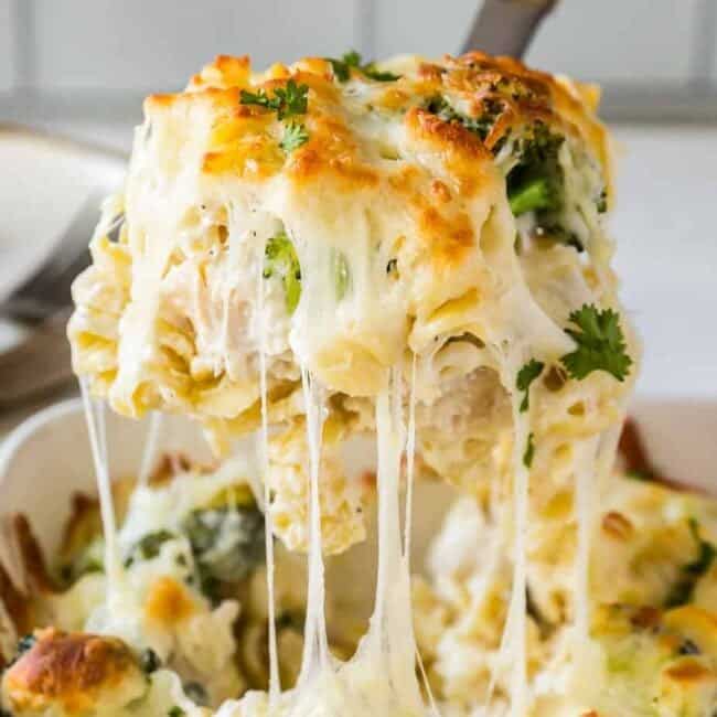 spoonful of cheesy broccoli chicken alfredo