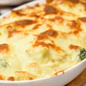 baked bubbly chicken broccoli alfredo in a baking dish.