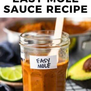 The best easy mole sauce recipe.