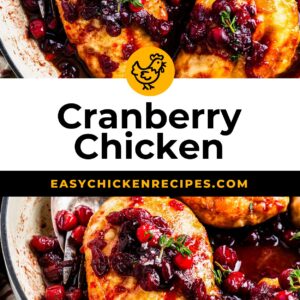 cranberry chicken pinterest