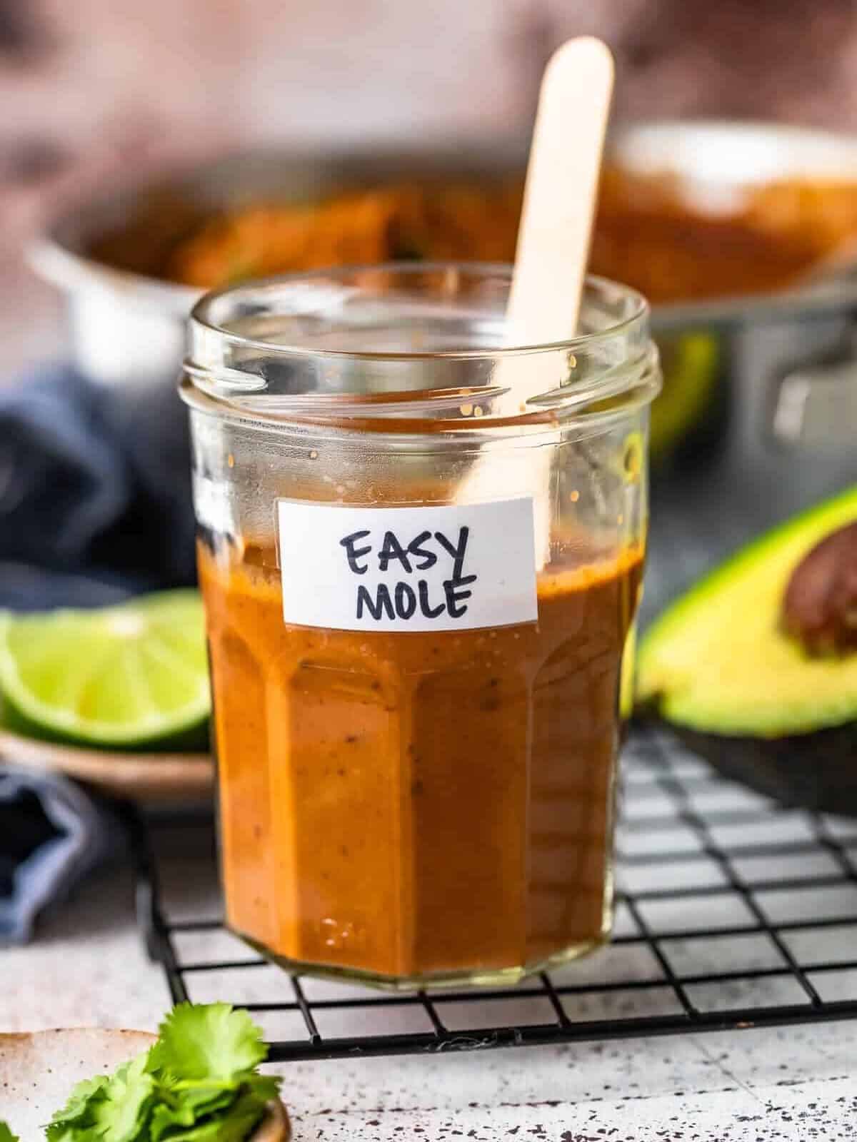 Easy Mole Sauce is such a great addition to your favorite meals! We love Chicken Mole and learning how to make this Homemade Mole Sauce has made all the difference for our best Mexican recipe!