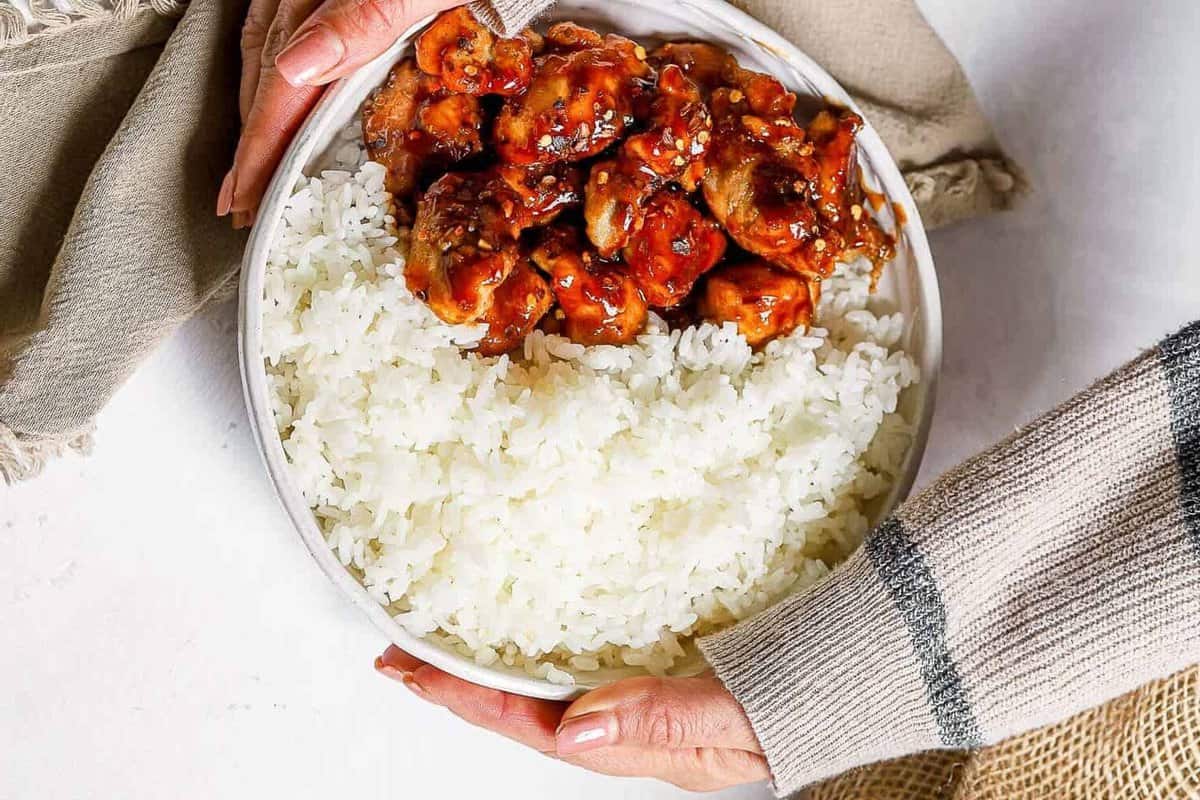 hand holding plate of chicken and rice