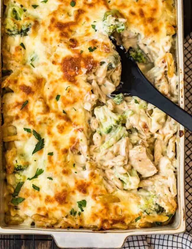 Chicken Alfredo casserole with broccoli, baked in a dish.