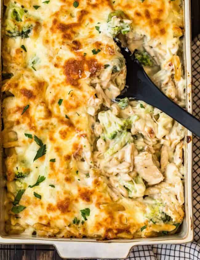 Chicken Alfredo casserole with broccoli, baked in a dish.