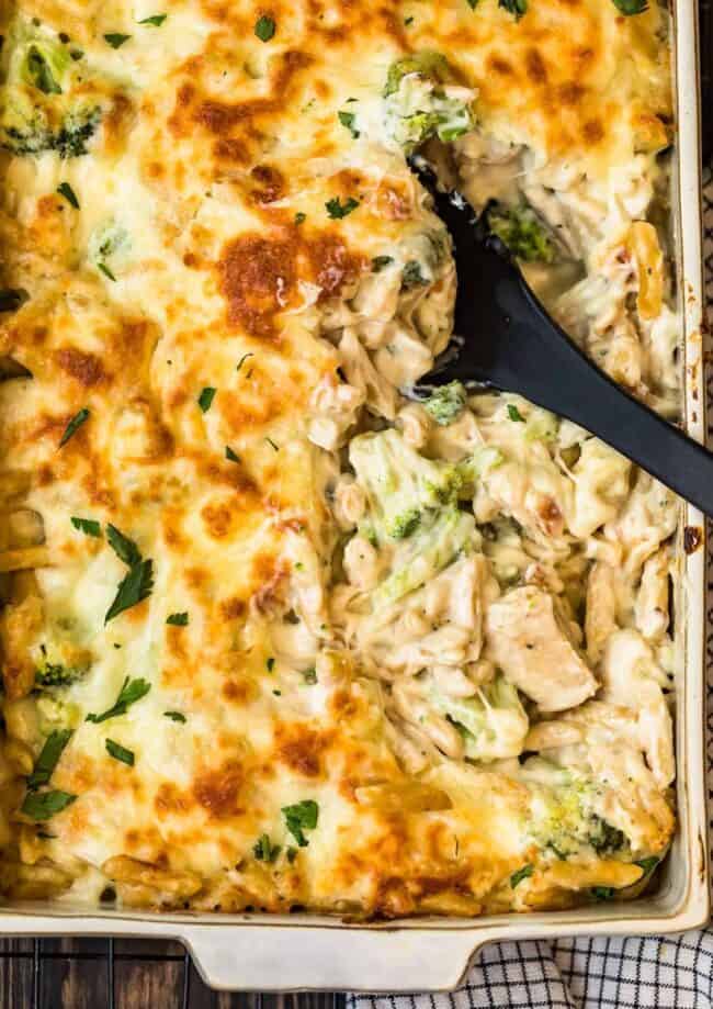 Chicken Alfredo casserole with broccoli, baked in a dish.