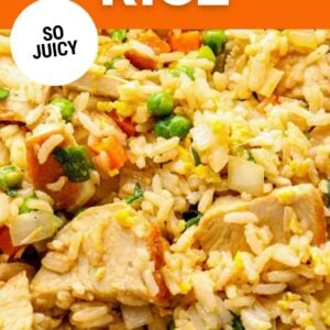 chicken fried rice pin