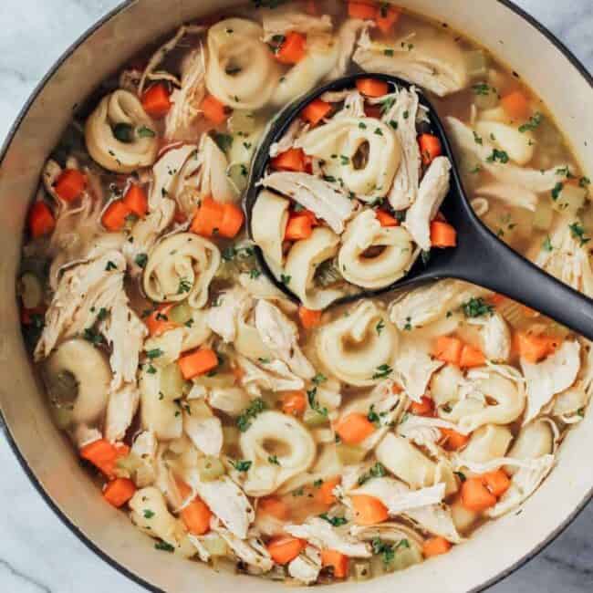 a bowl of chicken tortellini soup with noodles and carrots.