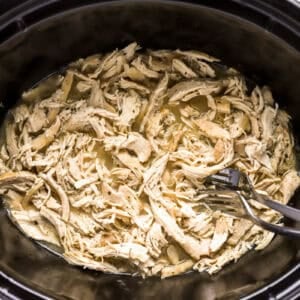 shredded chicken in a slow cooker with 2 forks.