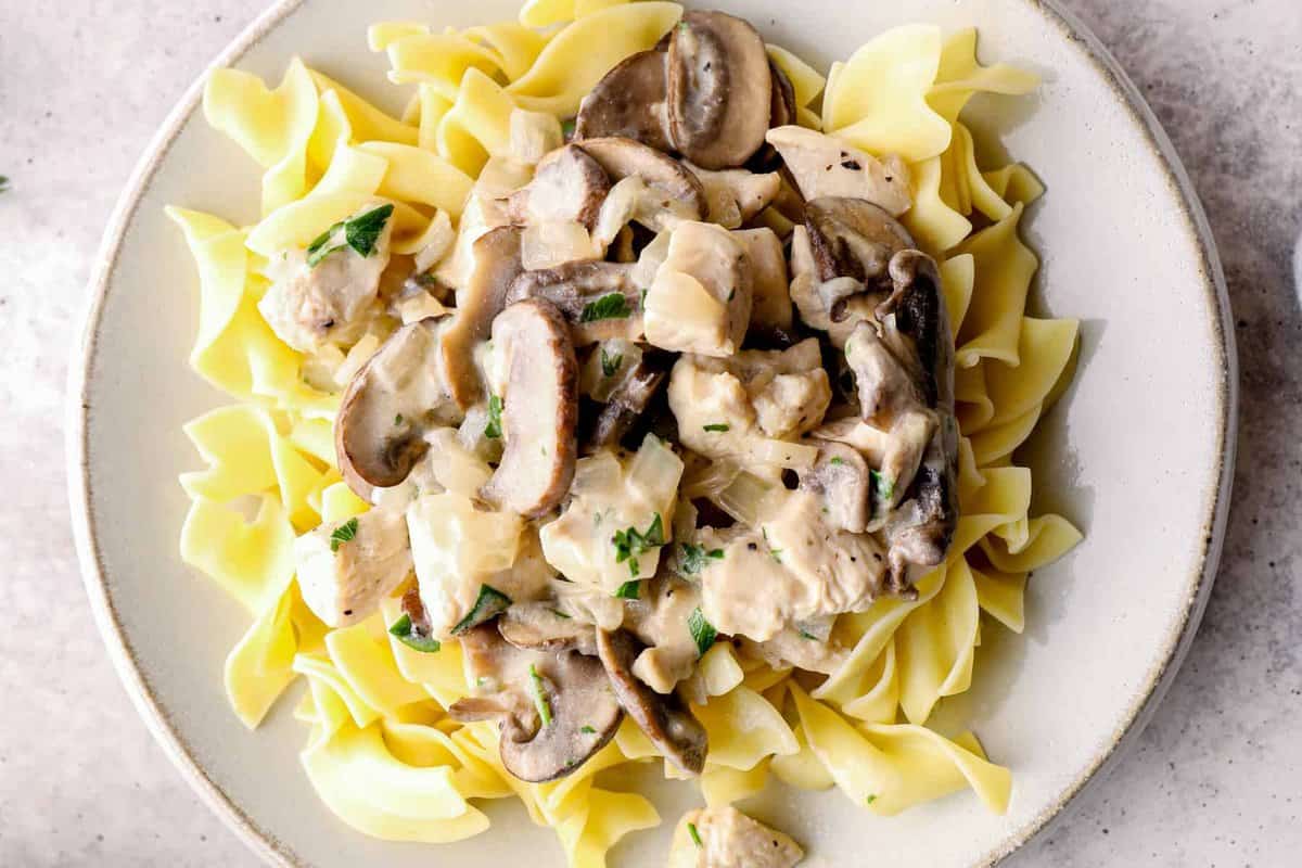 chicken stroganoff with egg noodles on a white plate