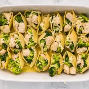 chicken and broccoli stuffed shells in a white casserole dish without sauce.