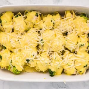 sauce and cheese coated chicken and broccoli stuffed shells in a white casserole dish.