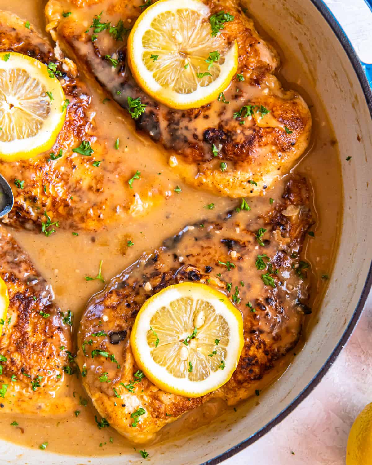 overhead view of chicken francese in a pan.