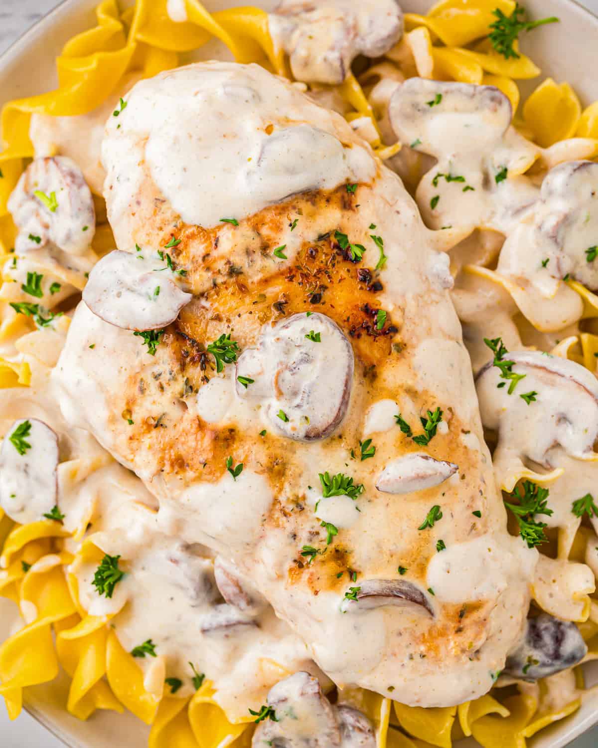 close up of a serving of sour cream chicken on a bed of egg noodles.