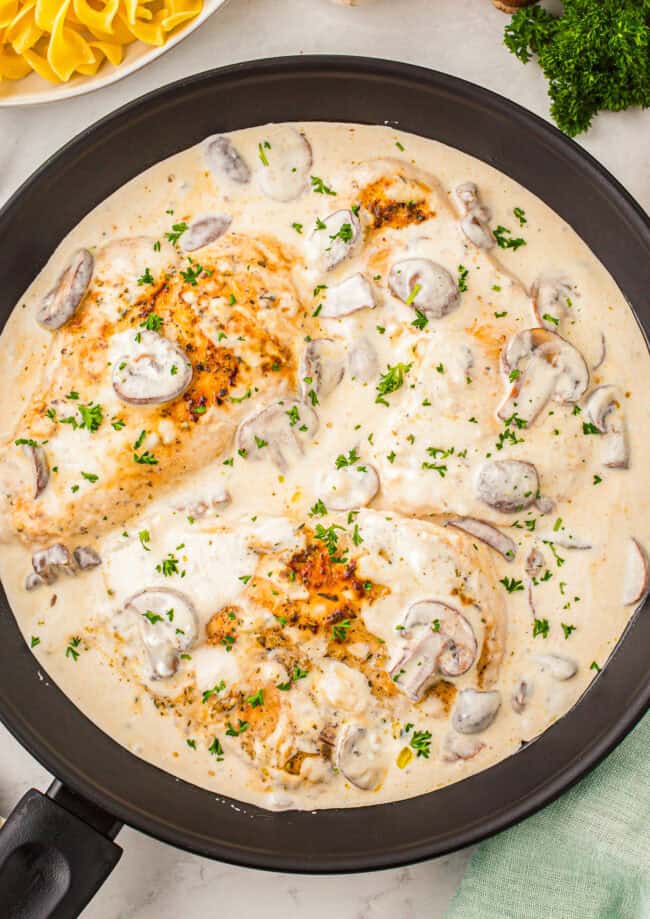overhead view of sour cream chicken in a skillet.