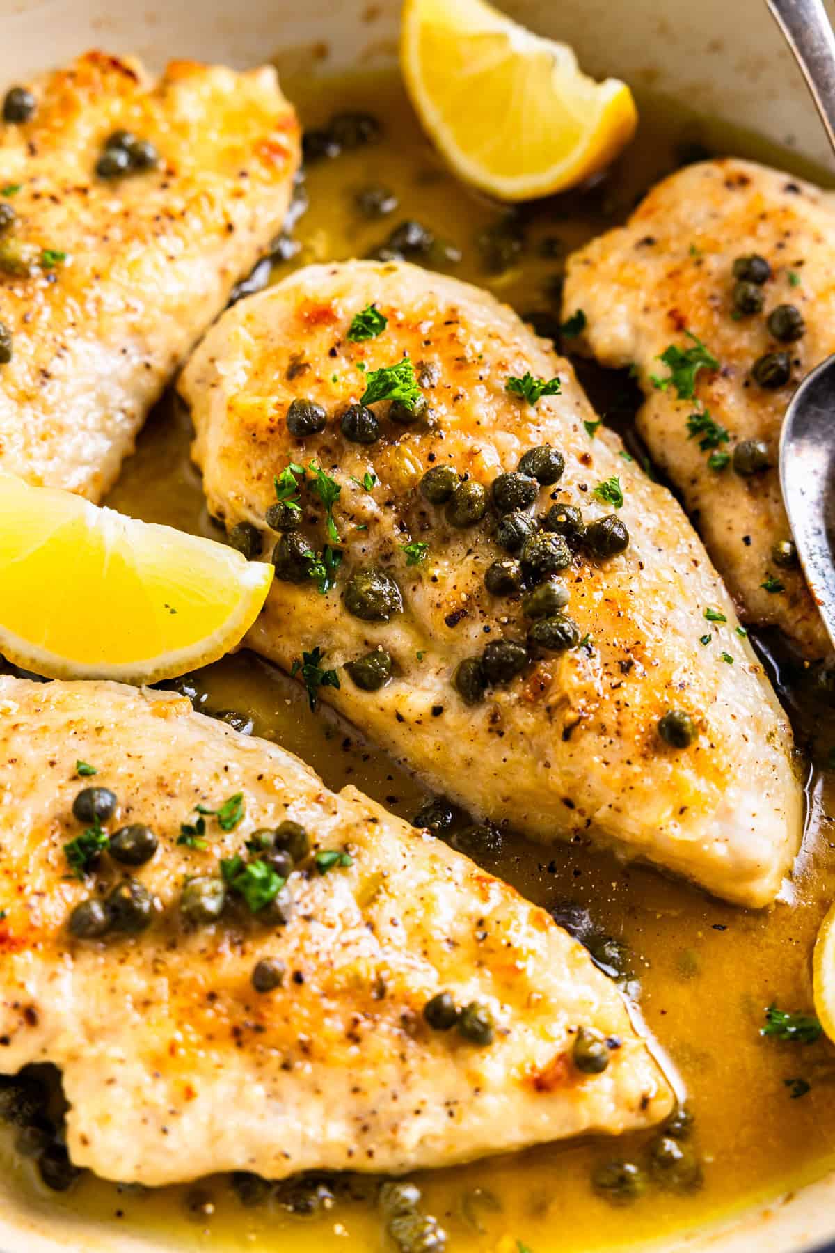 up close chicken piccata in white pan