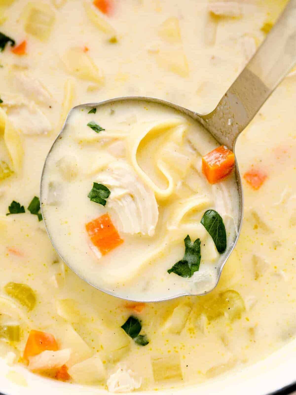 pot of creamy chicken noodle soup with ladle