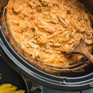 salsa chicken in crockpot